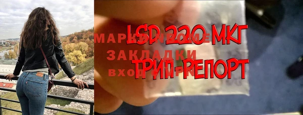 спайс Аркадак