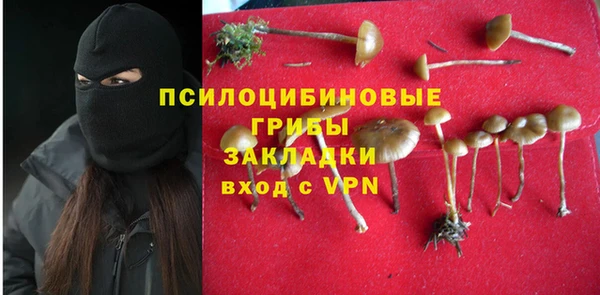 Альфа ПВП Армянск