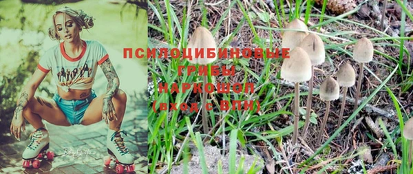 Альфа ПВП Армянск
