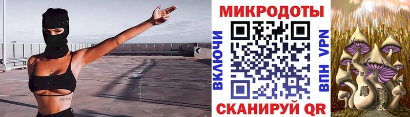 Галлюциногенные грибы мицелий  MEGA ONION  Починок  что такое  